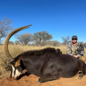 Sable Bow Hunt South Africa