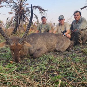 Waterbuck Hunt Mozambique