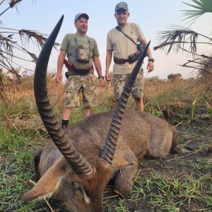 Waterbuck Hunt Mozambique