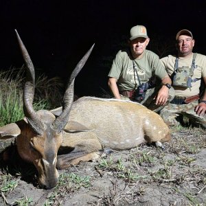 Bushbuck Hunt Mozambique