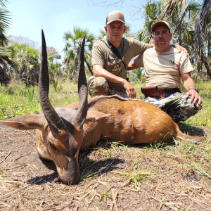 Bushbuck Hunt Mozambique