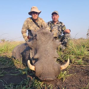 Warthog Hunt Mozambique