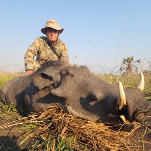 Warthog Hunt Mozambique