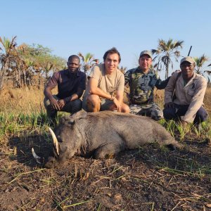 Warthog Hunt Mozambique