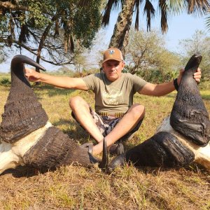 Buffalo Skull Mozambique