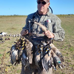 Wingshooting Argentina