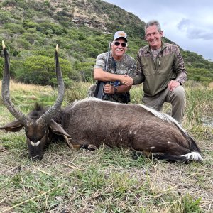 Nyala Hunt South Africa