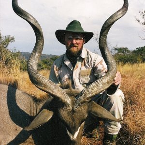 Kudu Hunt