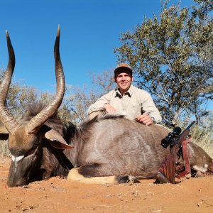 Nyala Hunt Limpopo South Africa