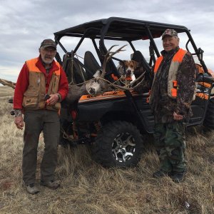 Mule Deer Hunt Canada