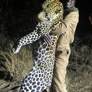 Leopard Hunt Zimbabwe