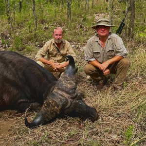 Buffalo Hunt Luangwa Valley Zambia