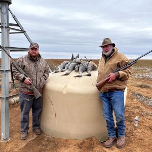 Sandhill Crane Hunt Texas