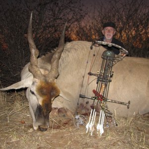 Bow Hunting Eland