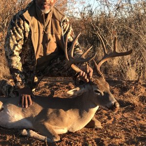 Whitetail Deer Hunt Texas