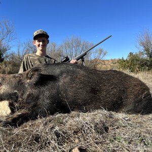 Hog Hunting