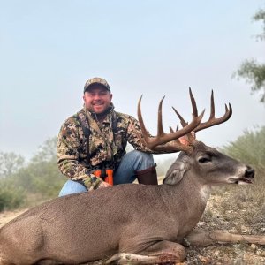 Whitetail Hunt Texas