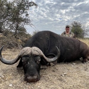 Buffalo Hunt South Africa