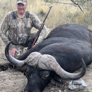 Buffalo Hunt South Africa