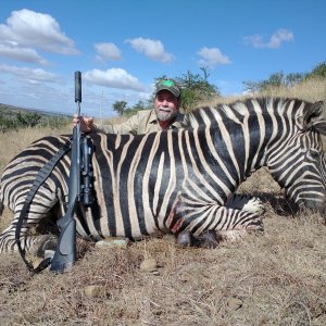 Zebra Hunting Eastern Cape South Africa