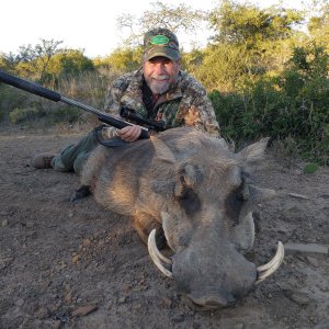 Warthog Hunting Eastern Cape South Africa