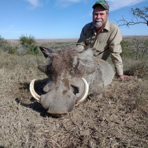 Warthog Hunting Eastern Cape South Africa