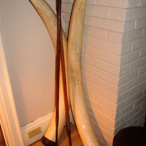 Stamped 1970s Elephant Tusks