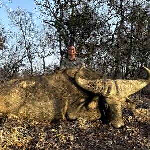 Buffalo Hunt South Africa