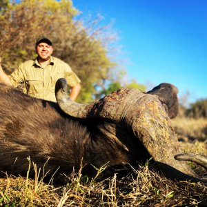 Cape Buffalo Hunt South Africa