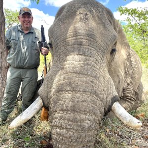 Elephant Hunt South Africa