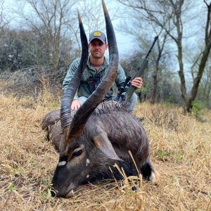 Nyala Hunt South Africa