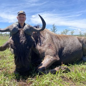 Eastern White-Bearded Wildebeest Hunt Tanzania