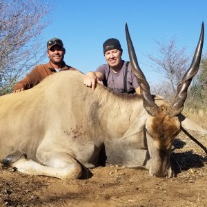 Eland Hunting Botswana