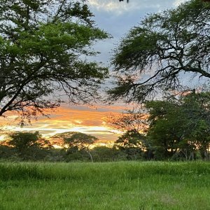 Scenery Tanzania