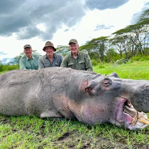 Hippo Hunt Tanzania