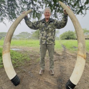 Elephant Tusks