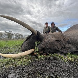 Elephant Hunt Tanzania