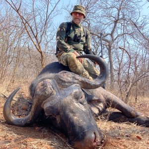 Buffalo Hunt Lowveld South Africa