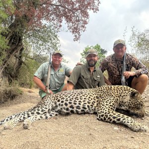 Leopard Hunt Zimbabwe