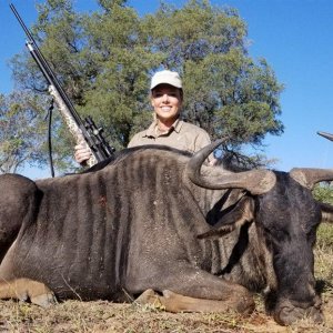 Blue Wildebeest Hunt South Africa