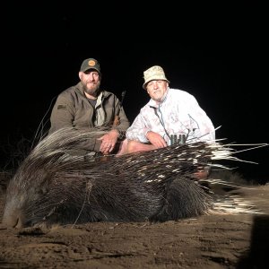 Porcupine Hunt South Africa