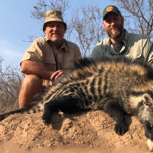 Civet Hunt South Africa