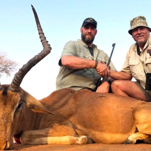 Impala Hunt South Africa