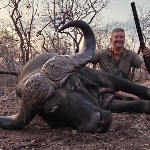 Buffalo Hunt Mozambique