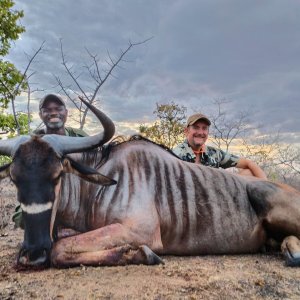 Nyasaland Wildebeest Hunt Mozambique