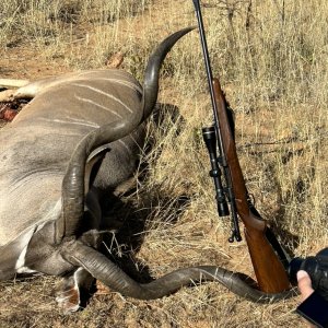 Kudu Hunt Namibia