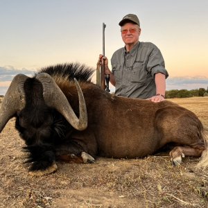 Black Wildebeest Hunt Namibia