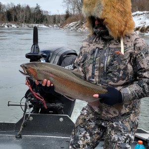 Rainbow Trout Fishing Michigan