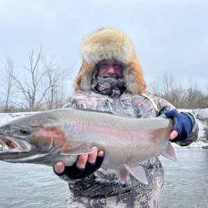 Rainbow Trout Fishing Michigan