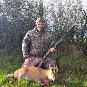 Muntjac Deer Hunt United Kingdom